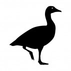 Duck walking, decals stickers