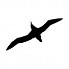 Seagul flying underneath view, decals stickers