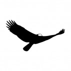 Bald eagle with wings wide open flying, decals stickers