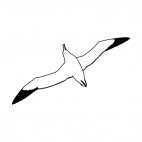 Seagul flying underneath view, decals stickers