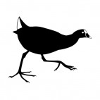 Bird with line on his head running, decals stickers