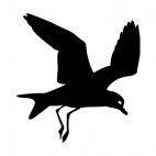 Seagul flying, decals stickers