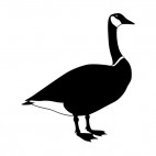 Geese, decals stickers