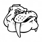 Walrus face with tusks mascot, decals stickers