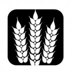 Wheat plant, decals stickers