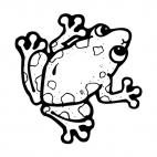 Frog, decals stickers