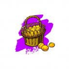 Apricots in a basket, decals stickers