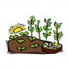 Field with growing plants, decals stickers
