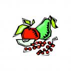 Apple,pear and grapes, decals stickers