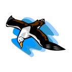 Flying albatros, decals stickers