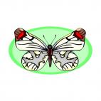 White butterfly, decals stickers