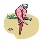 Pink parrot, decals stickers