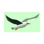 Flying seagull, decals stickers