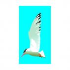 Seagull, decals stickers