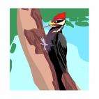 Woodpecker on a tree, decals stickers