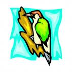 Woodpecker, decals stickers