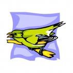 Green bird, decals stickers