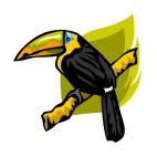 Toucan, decals stickers