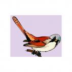 Barbate chickadee, decals stickers