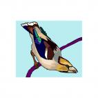 Barley bird, decals stickers