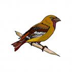 Barn swallow, decals stickers
