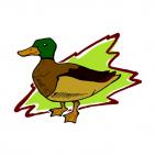 Duck, decals stickers