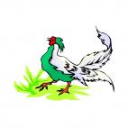 Chicken, decals stickers