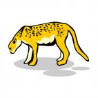 Leopard, decals stickers