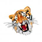 Angry tiger, decals stickers