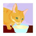 Brown cat drinking milk, decals stickers