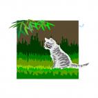 Cat outdoor, decals stickers