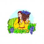 Girl with grapes basket, decals stickers