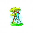 Man picking up apples in appletree, decals stickers