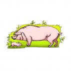 Pig with piglet, decals stickers
