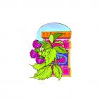 Raspberry plant, decals stickers