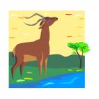 Gazelle, decals stickers