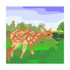 Deer, decals stickers