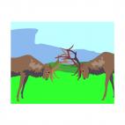 Deer fight, decals stickers