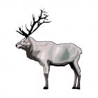 Grey deer, decals stickers