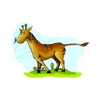 Giraffehorse eating, decals stickers