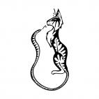 Cat with long tail, decals stickers