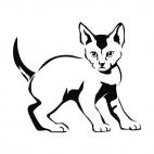 Kitten, decals stickers