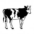 Cattle, decals stickers