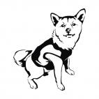 Husky with shirt, decals stickers