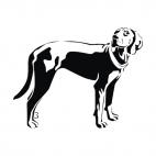English foxhound, decals stickers