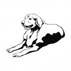 Labrador, decals stickers