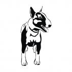Boston bull terrier, decals stickers