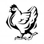 Chicken walking, decals stickers