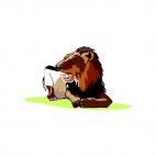 Lion roaring, decals stickers