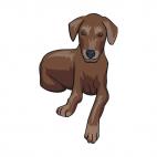 Brown dog laying down, decals stickers